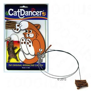 Cat Dancer 